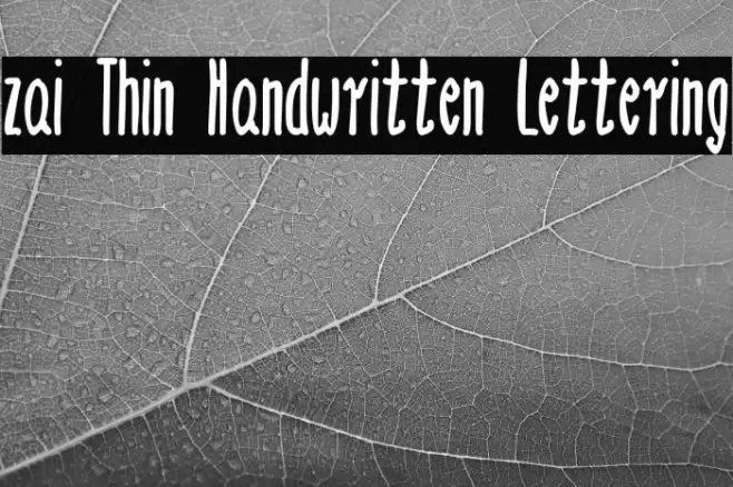 zai Thin Handwritten Lettering Font examples