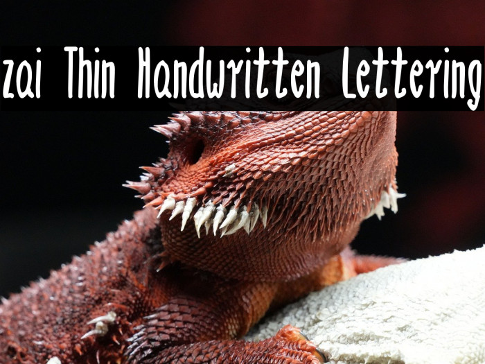 zai Thin Handwritten Lettering Example 3