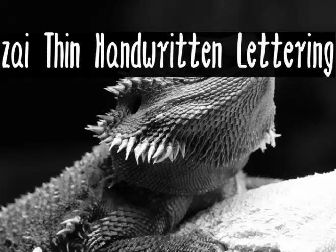 zai Thin Handwritten Lettering Font examples