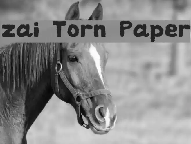 zai Torn Paper Font examples