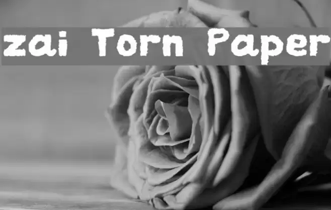 zai Torn Paper Font examples
