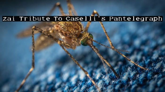 zai Tribute To Caselli's Pantelegraph Example 1