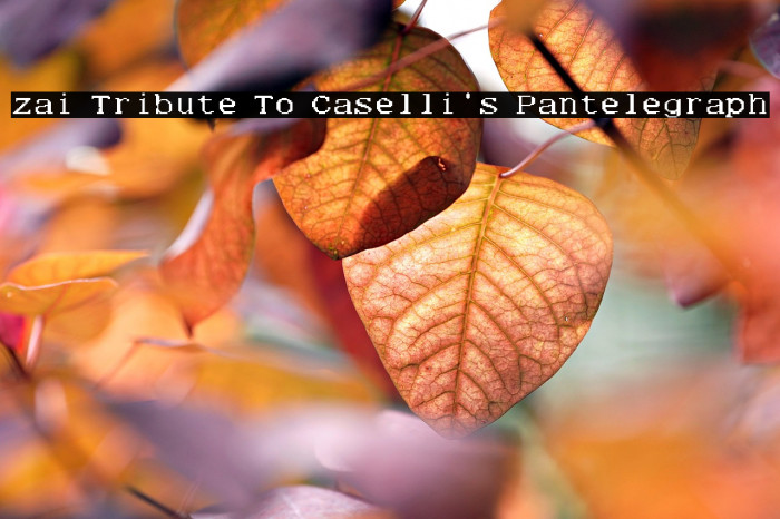 zai Tribute To Caselli's Pantelegraph Example 2