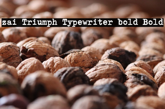 zai Triumph Typewriter bold Bold Example 3