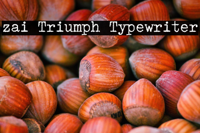 zai Triumph Typewriter Example 1