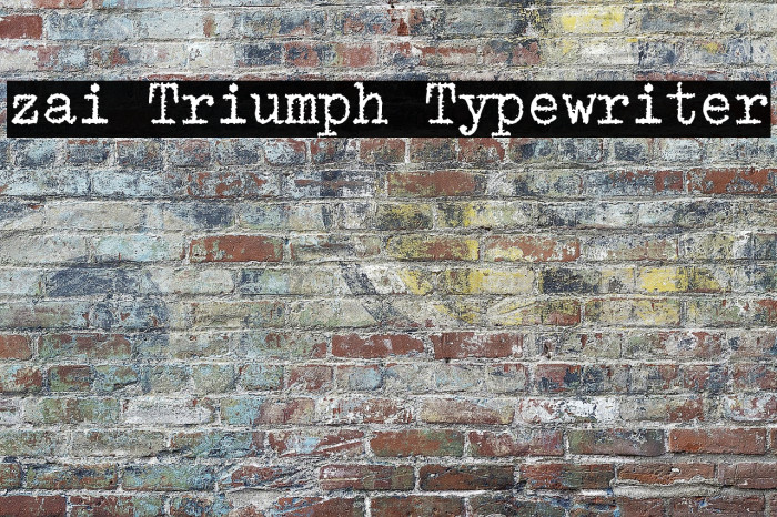 zai Triumph Typewriter Example 3