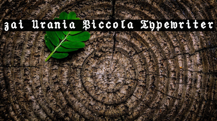 zai Urania Piccola Typewriter Example 1