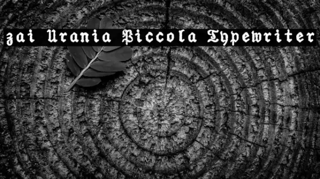 zai Urania Piccola Typewriter Font examples