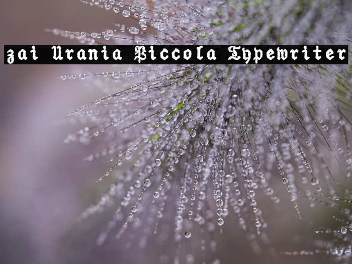 zai Urania Piccola Typewriter Example 2
