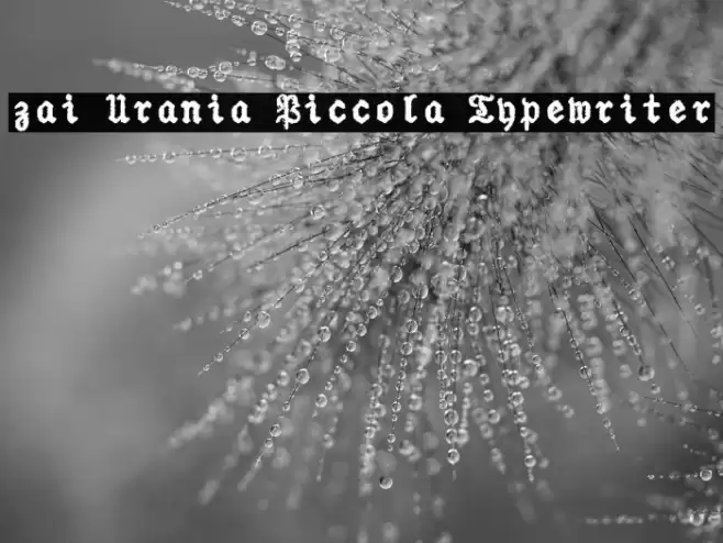 zai Urania Piccola Typewriter Font examples