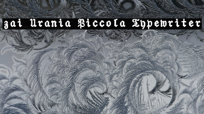 zai Urania Piccola Typewriter Example 3