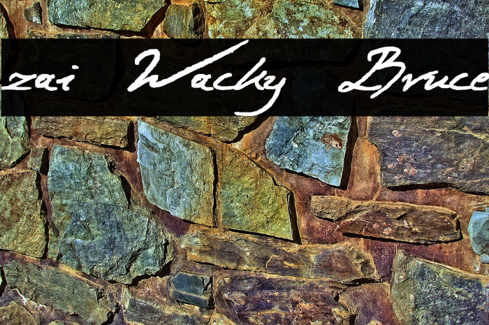 zai Wacky Bruce Example 1