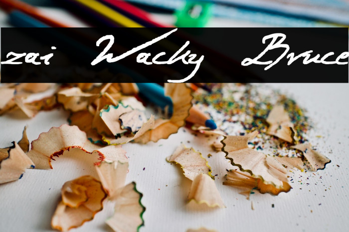 zai Wacky Bruce Example 2