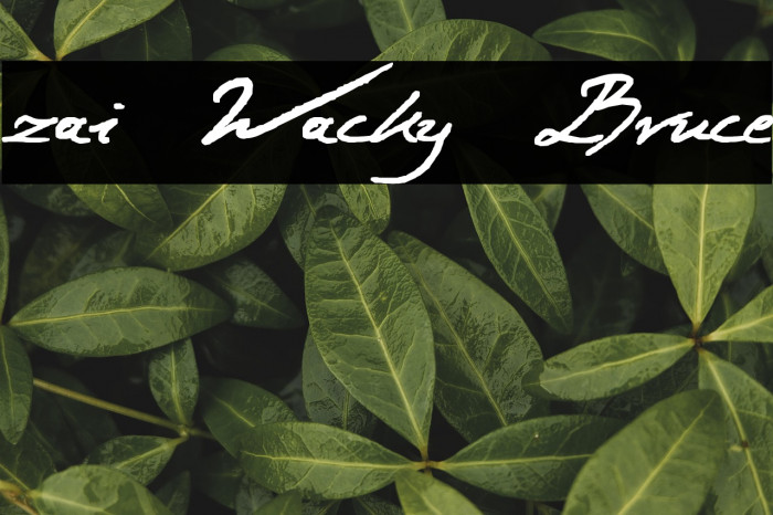 zai Wacky Bruce Example 3