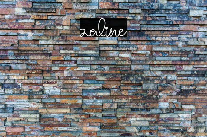 zaline Example 1