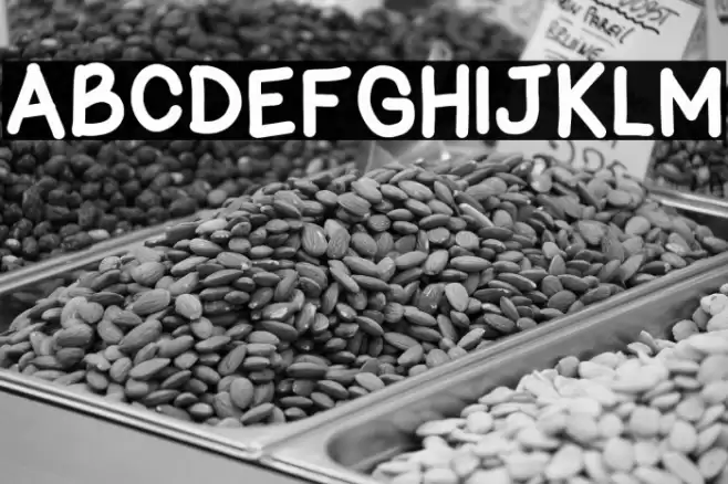 zama Bold Font examples