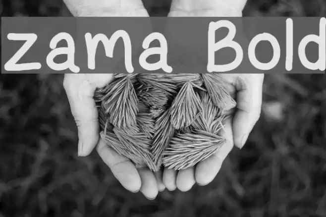 zama Bold Font examples