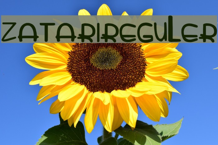 zatarireguler Font examples