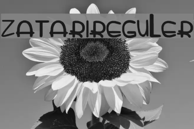 zatarireguler Font examples