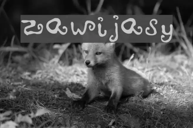 zawijasy Font examples