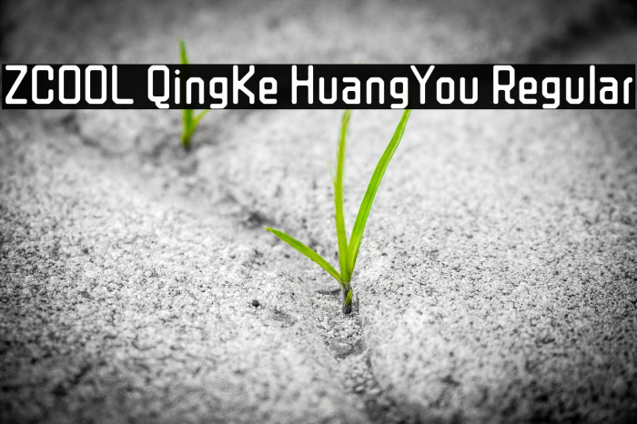 ZCOOL QingKe HuangYou Regular Font examples