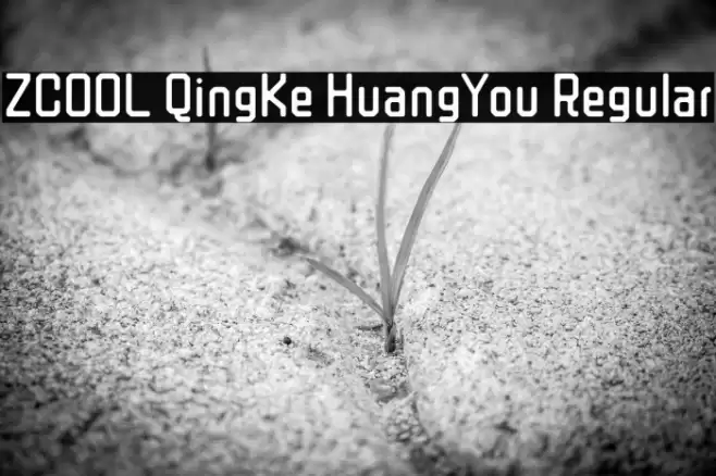ZCOOL QingKe HuangYou Regular Polices examples