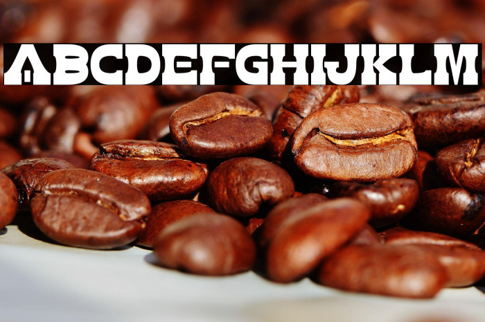 Zdyk Aries Example 1