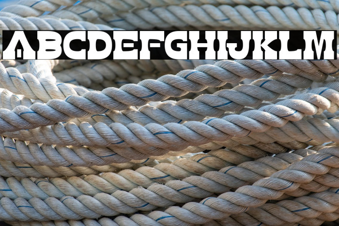 Zdyk Aries Example 2