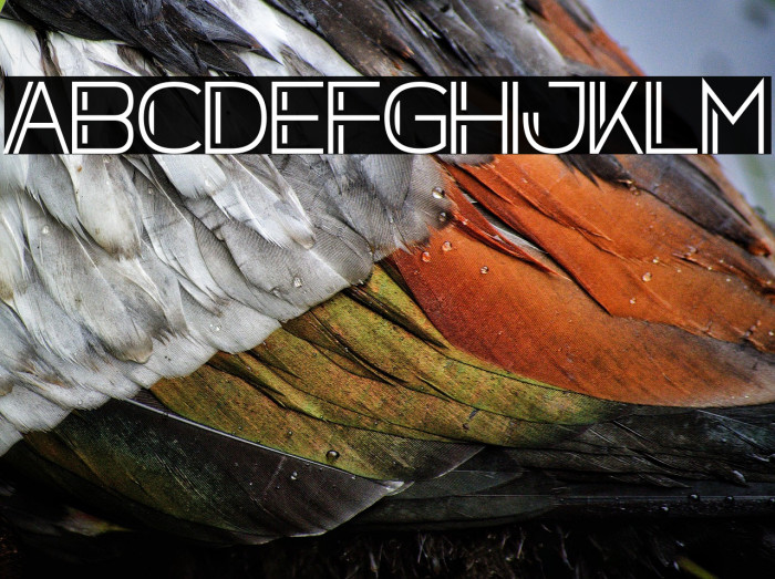 Zdyk Cancer Example 1