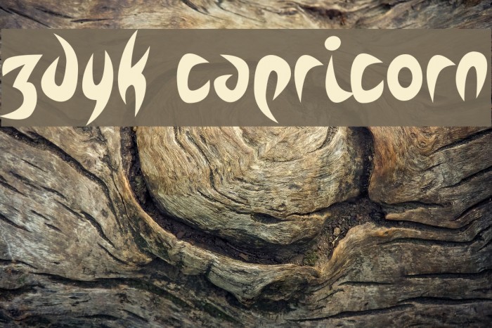 Zdyk Capricorn Example 1