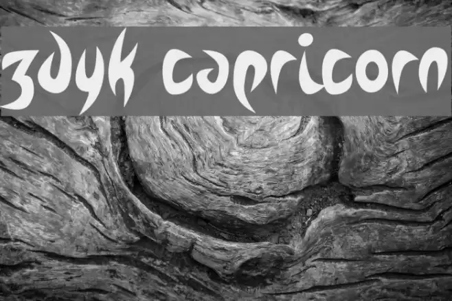Zdyk Capricorn Font examples