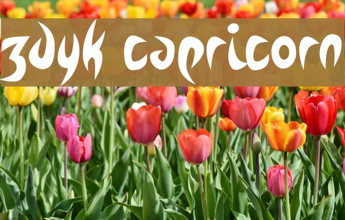 Zdyk Capricorn Example 2