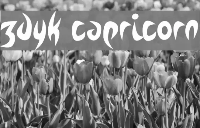 Zdyk Capricorn Font examples