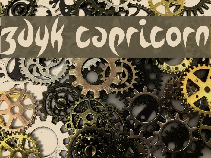 Zdyk Capricorn Example 3