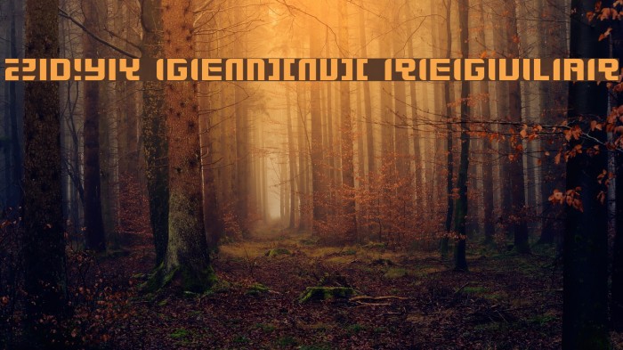 Zdyk Gemini Regular Font examples