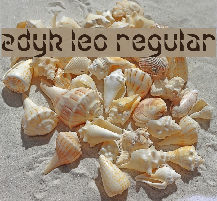 Zdyk Leo Regular Font examples