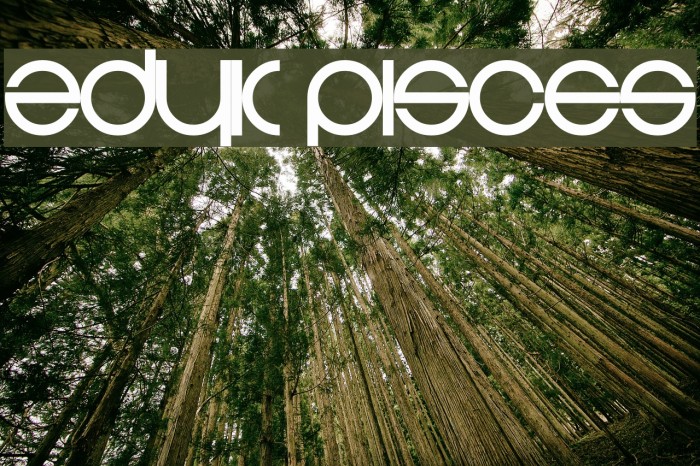 Zdyk Pisces Font examples