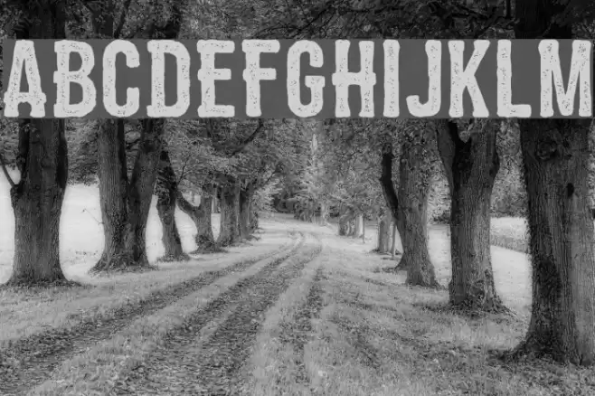 ZEMBOOD Vintage Font examples