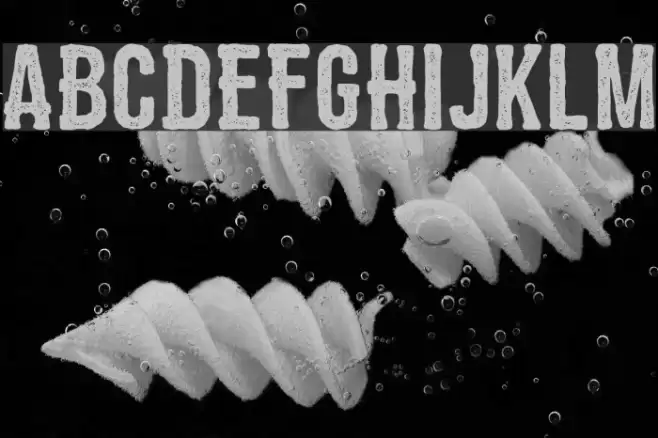 ZEMBOOD Vintage Font examples