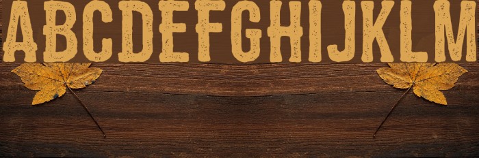 ZEMBOOD Vintage Font examples