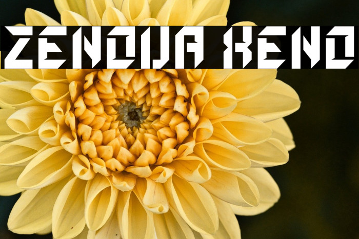 ZENOVA XENO Example 1