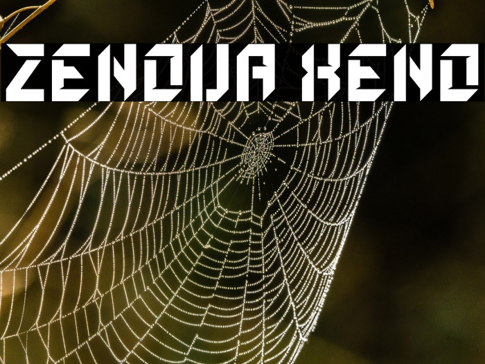 ZENOVA XENO Example 3