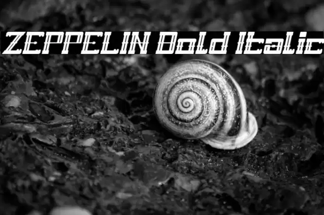 ZEPPELIN Bold Italic Font examples