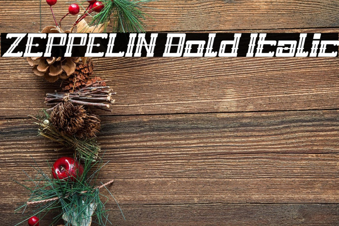 ZEPPELIN Bold Italic Example 2
