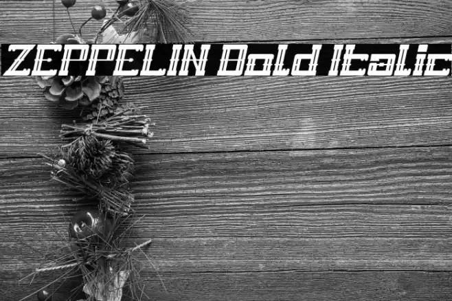 ZEPPELIN Bold Italic Font examples