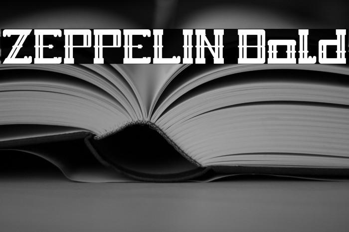 ZEPPELIN Bold Example 2