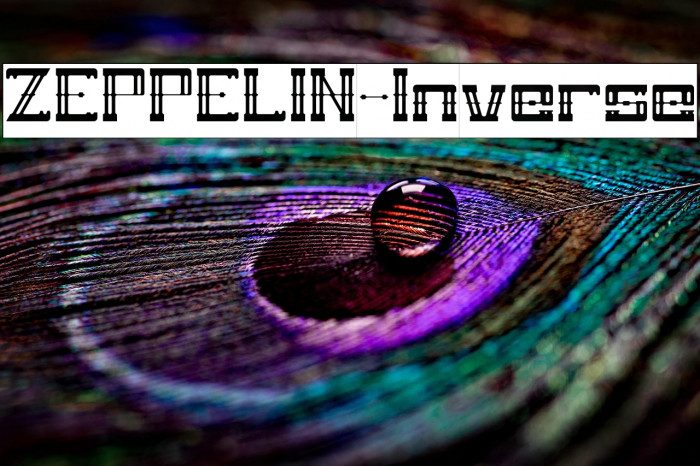 ZEPPELIN-Inverse Example 1