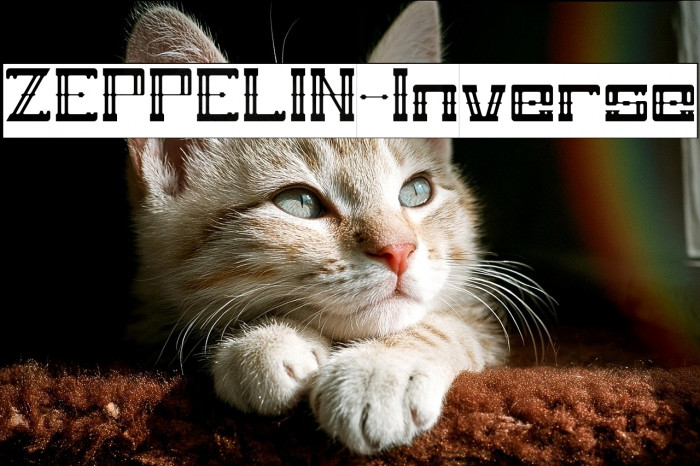 ZEPPELIN-Inverse Example 2