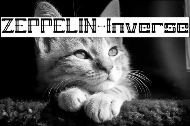 ZEPPELIN-Inverse Font examples