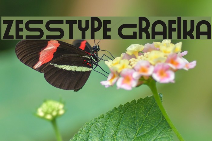 ZESSTYPE GRAFIKA Font examples